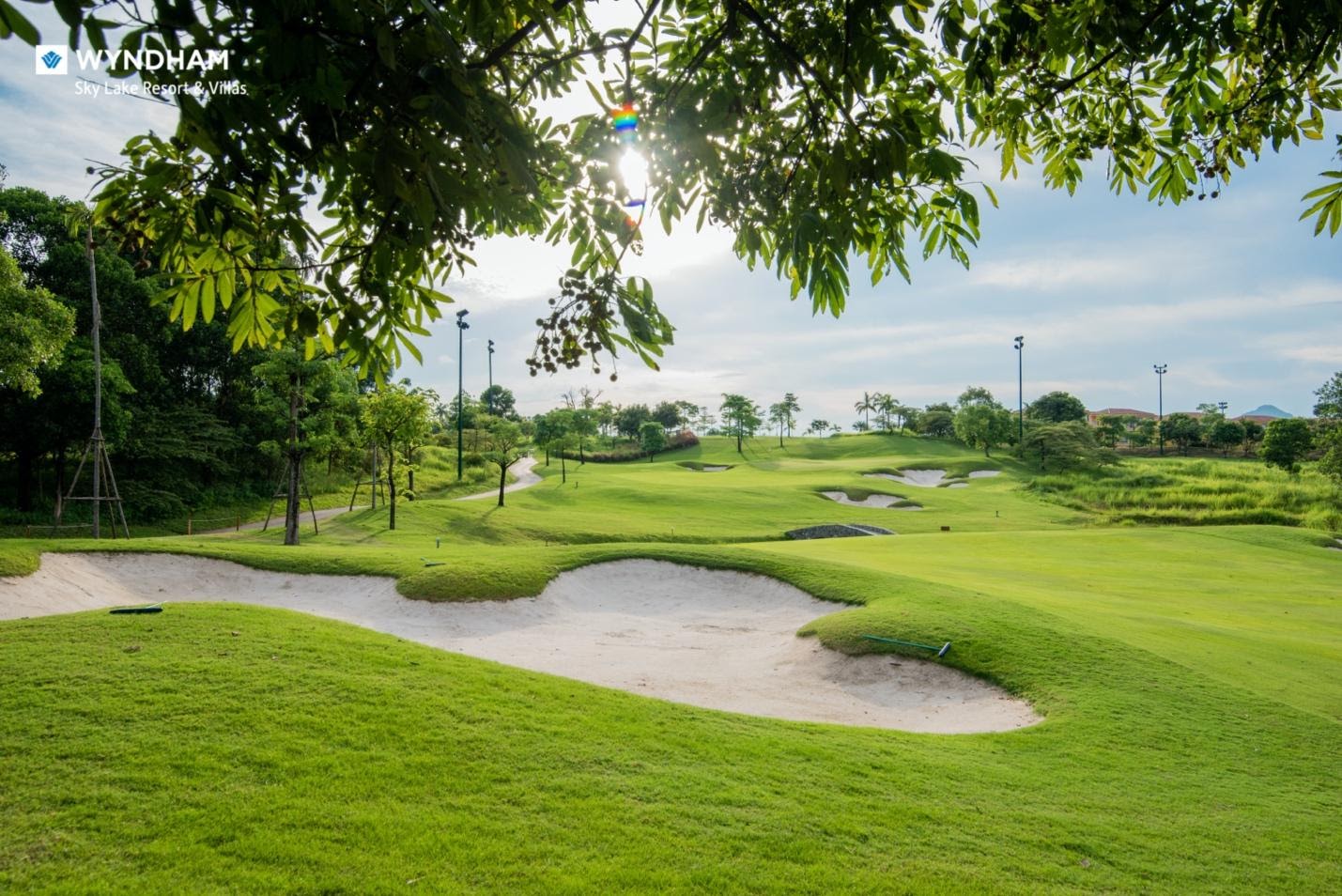 A picture containing grass, tree, outdoor, golfDescription automatically generated